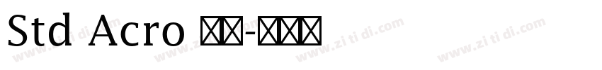 Std Acro 亮体字体转换